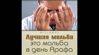 Лучшее дуа – это дуа в день Арафа