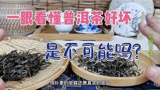 Is it possible to understand the quality of Pu-erh tea at a glance? Follow Pu-erh raw tea (1) to ...