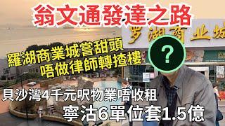 老牌翁氏棄律師樓瞓身房地產，翁文通30年來首次連沽貝沙灣物業