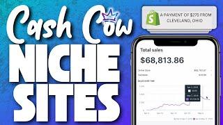 What Are Cash Cow Niche Sites?