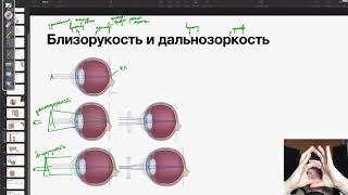 Близорукость и дальнозоркость | Биология ЕГЭ