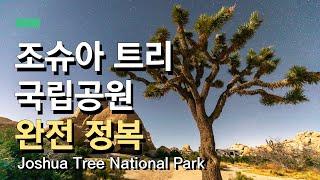 조슈아트리국립공원 추천 일정 & 은하수와 별사진 팁! | Joshua Tree National Park & tips for taking pictures!