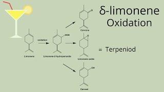 Learn about Limonene. One of Natures most Abundant Terpenes. #terpenes