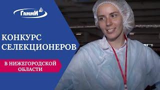 Специалист холдинга "Гамми" стала самой молодой участницей конкурса зоотехников-селекционеров