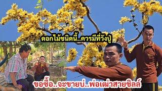 เห็นแล้วตาค้าง ลุงช่างจอดด่วน! ดอกไม้แปลกมาก อยากได้ไปปลูกวังปู่