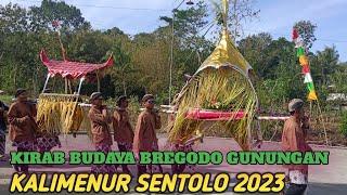 Merti Dusun Kalimenur 2023 | Kirab budaya Kulonprogo Yogyakarta