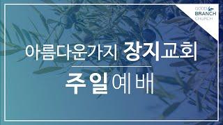 2025.03.02 주일예배ㅣ아름다운가지 장지교회