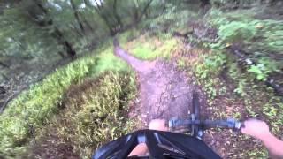 Allaire Fun and Slightly Technical Mountain Bike Trails in the Woods