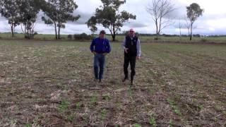 Farmers talk about the Water Use Efficiency Project