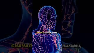 Причина боли в коленях #здоровье #зож #факты #совет #советы #рецепт #рецепты