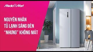 Tủ lạnh sáng đèn nhưng không mát lỗi do đâu - Điện máy MediaMart