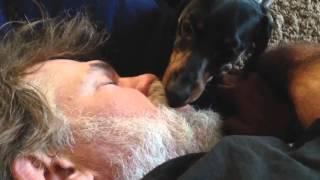 Dog Licks Sleeping Man's Mouth