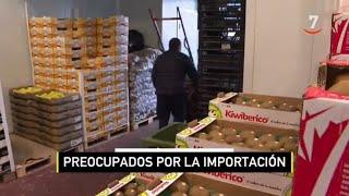 El campo al día (12/07/2024): La importación de productos preocupa a los productores españoles