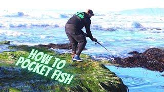 How to fish 1 FOOT Tide pools POCKET FISHING with @JurassicSportFishing