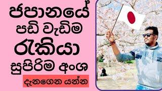 ජපානයේ සුපිරිම අංශ හා පඩි වැඩි රැකියා | Japan jobs for Sri Lankans | Japan job salary Sinhala