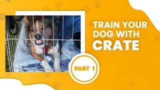 How to Crate Train a Puppy | Part 1 | SolidK9Training