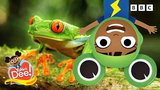 Can You Say Frog?  | Learn Animal Words with Dee | Yakka Dee!