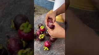 Mangosteen//How to open and eat mangosteen/The queens fruit #mangosteen