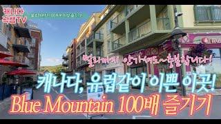 곽쌤티비 110화 유럽까지 안가도 괜찮아! 캐나다에도 유럽같이 예쁜 마을, 블루 마운틴 (Blue Mountain) 아이들과 100배로 즐기는 꿀팁!