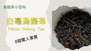 【烏龍茶小百科】8個關於白毫烏龍茶的驚人事實，你知道嗎？含一勘誤，茶葉的世界真是博大精深~8 Surprising Facts About Pekoe Oolong /Oriental beauty