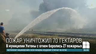 В Унгенах загорелись 70 гектаров камыша и сухой травы: на тушение пожара ушло около пяти часов
