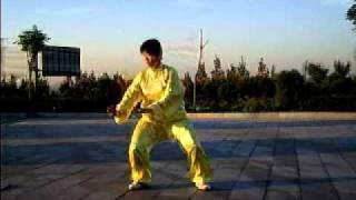 chen style taichichuan 36 forms.flv