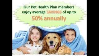 Pet Health Plan