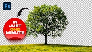 How to remove background from a Tree in Photoshop!