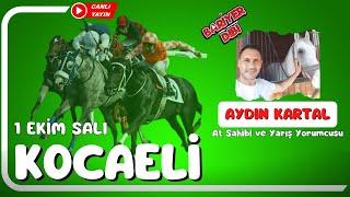 KOCAELİ / Canlı Yayın / Bariyer Dibi / 1 Ekim 2024 Salı #atyarisi