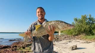 Nuevo record pescando Robalos grandes desde orilla!