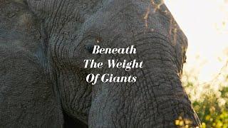 Beneath The Weight Of Giants / Epic Orchestra #PowerfulMelodies #TriumphOfWill #OvercomingChallenges