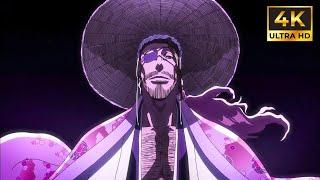 Shunsui Kyoraku Bankai 4K (English Sub) - Bleach Thousand Year Blood War Part 3