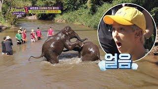 Mino can't keep his eyes off this sudden scene from Jurassic Park ⊙0⊙ Package tour 2 ep.11