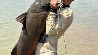 Pesca de un gran amarillo