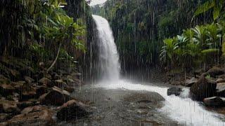 Rain & Waterfall Sounds for Sleep Therapy - Fall Asleep Instantly to the Sound of Rain in the Forest