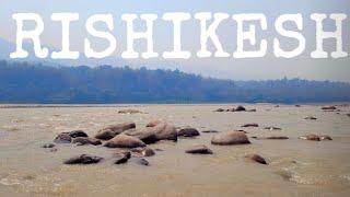 RISHIKESH - ऋषिकेश | हरिद्वार | Ghumakkad Kunal | Har Har Mahadev | Savan #new #trending #rishikesh