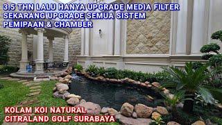 KOLAM KOI NATURAL UPGRADE SEMUA SISTEM PEMIPAAN & SISTEM CHAMBER | CITRALAND GOLF SURABAYA