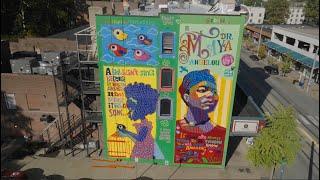 Delmar Loop Murals Project