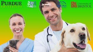 Veterinary Education – Continuing Education