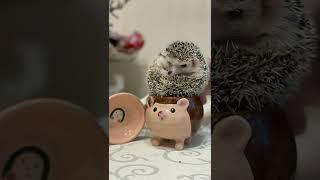 Кружка ручной работы от Emotion ceramics мастерской керамики ручной работы