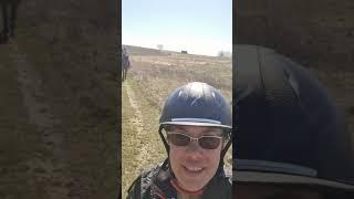приглашаем вас на конные прогулки #постойлошадей