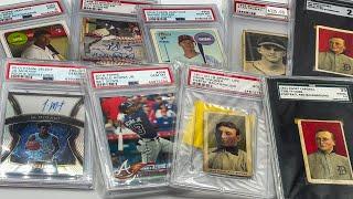 ASMR: $100,000 worth of graded sports cards / whispering / gum chewing