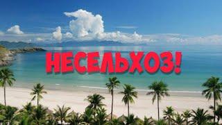 НЕСЕЛЬХОЗ УЧАСТОК В ЧАКВИ | НЕДВИЖИМОСТЬ В ГРУЗИИ | ЗЕМЛЯ В БАТУМИ #BATUMI #georgia