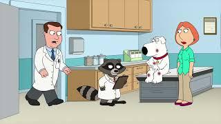 Family Guy - Raccoons