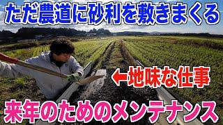 【農業日記】ひたすら砂利引き(敷き)来年に向けて農道メンテ 30代米作り奮闘記#442