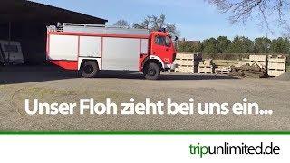 Floh-rian, unser Basisfahrzeug für unser Expeditionsmobil kommt zu uns I Mercedes SK 1224