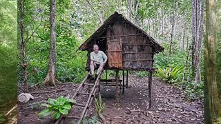 Alfred Russel Wallace’s “Dwarf’s House” on Gam Island, Indonesia