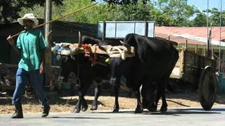 La Carreta De Milin