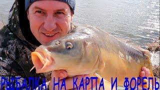 Рыбалка по холодной воде  на карпа и форель на фидер