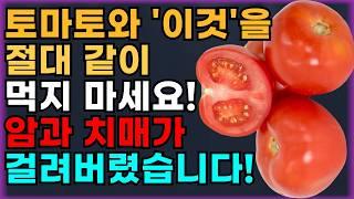 토마토와 상극인 음식 TOP 3! 절대 같이 섭취하시면 안됩니다!! 건강한 노년기 위해 먹는 토마토! 꼭 이렇게 드세요. 암과 치매 예방할 수 있습니다!